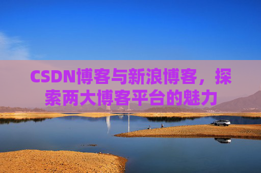 CSDN博客与新浪博客,探索两大博客平台的魅力
